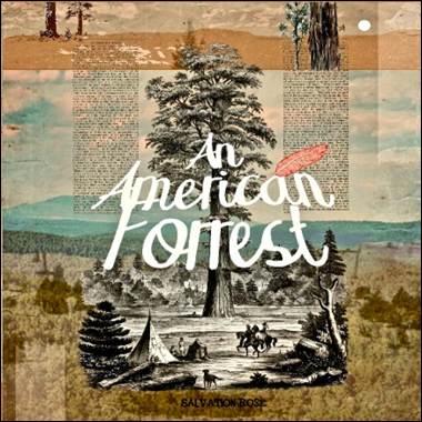 A book cover with a tree and text
Description automatically generated