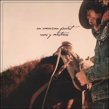 A person standing next to a horse
Description automatically generated