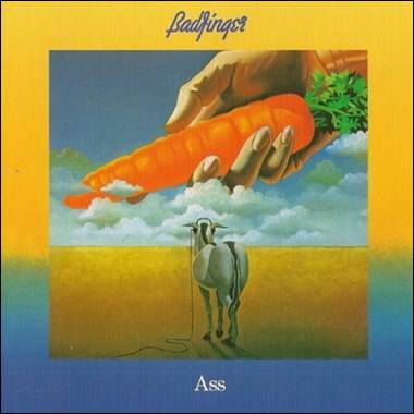 A hand holding a carrot

Description automatically generated