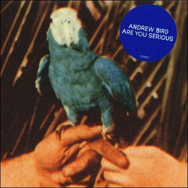 A bird on a person's hand
Description automatically generated