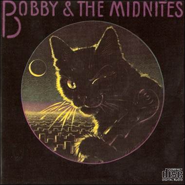 A black cat with yellow eyes and a city in the background
Description automatically generated