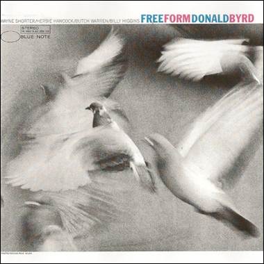 A group of birds flying
Description automatically generated