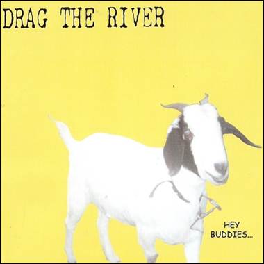 A white goat with black ears
Description automatically generated