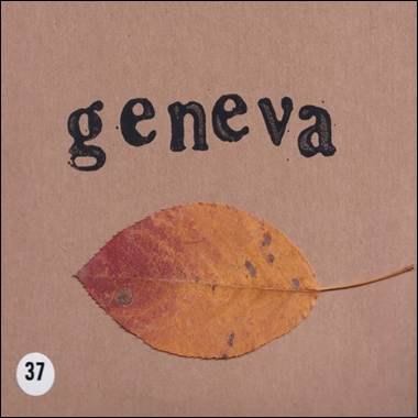 A leaf on a brown surface

Description automatically generated