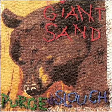 A close-up of a bear
Description automatically generated