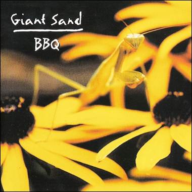 A close-up of a praying mantis
Description automatically generated