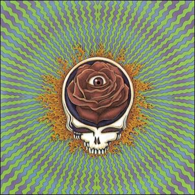 A skull with a rose in it

Description automatically generated