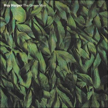 A close-up of a pile of leaves
Description automatically generated