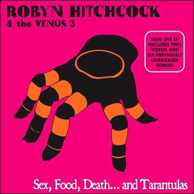 A hand with orange and black stripes
Description automatically generated