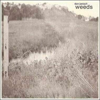 A field of weeds and a river
Description automatically generated with medium confidence