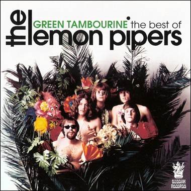 A group of men in a tropical setting
Description automatically generated