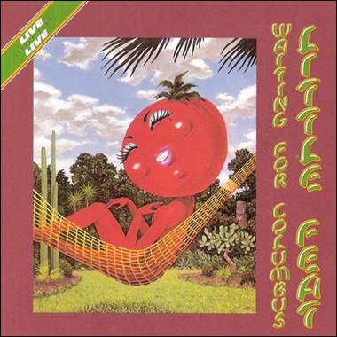 A tomato in a hammock
Description automatically generated