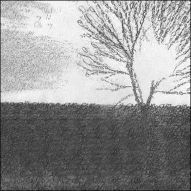 A tree with numbers in the sky
Description automatically generated