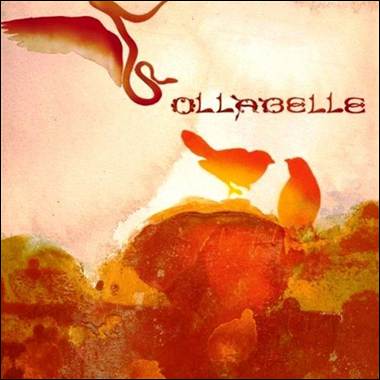 A group of birds on a rock
Description automatically generated