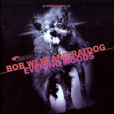 A dog with a white teeth

Description automatically generated with medium confidence