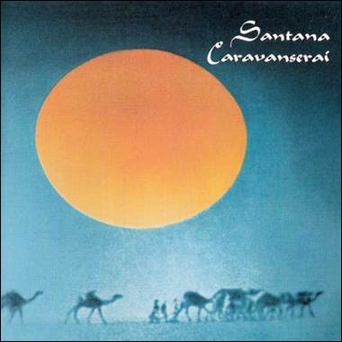 A group of camels in a caravan
Description automatically generated