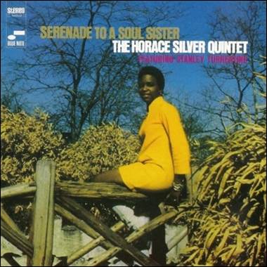 A person sitting on a fence
Description automatically generated