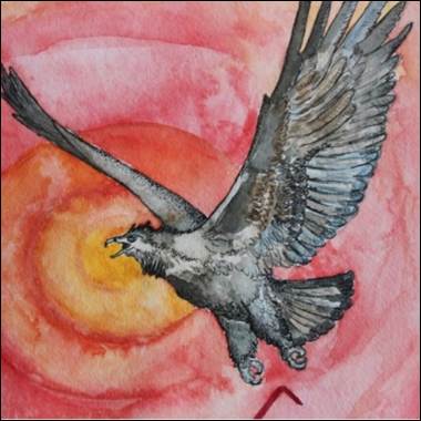 A bird flying with a red sun behind it
Description automatically generated