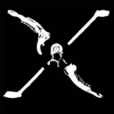 A skull and bones of a dinosaur
Description automatically generated with medium confidence