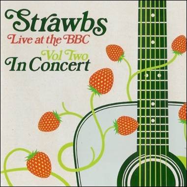 A guitar with strawberries on it
Description automatically generated