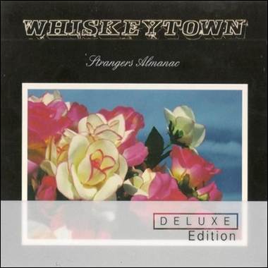 A close-up of a flower
Description automatically generated