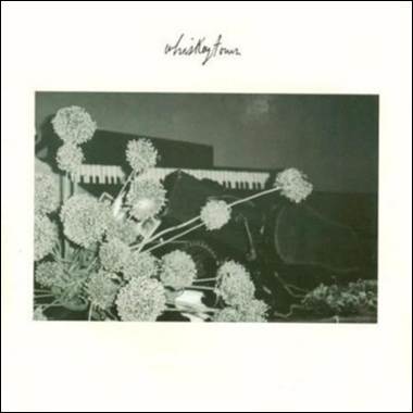 A close-up of a flower
Description automatically generated