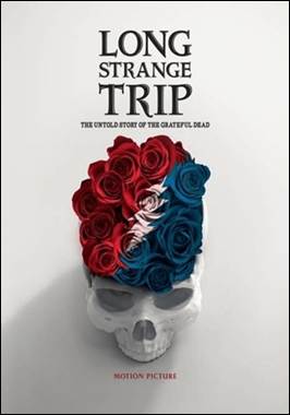 A skull with flowers on it
Description automatically generated