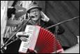 A person playing an accordion

Description automatically generated